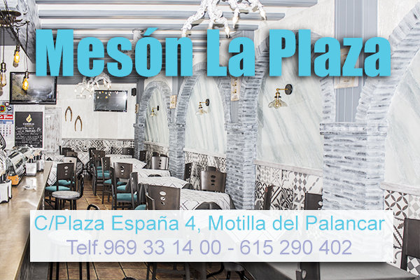 Meson 1