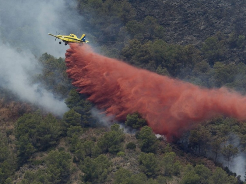 Incendio entre los términos municipales de Puebla del Salvador y Graja de Iniesta - imagen 1