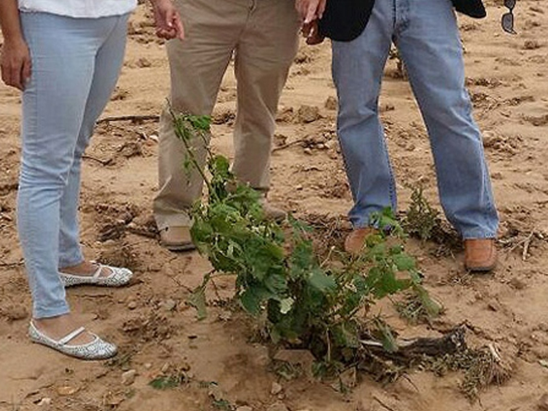 Diputación de Cuenca ofrece su colaboración a las localidades afectadas por las tormentas - imagen 1