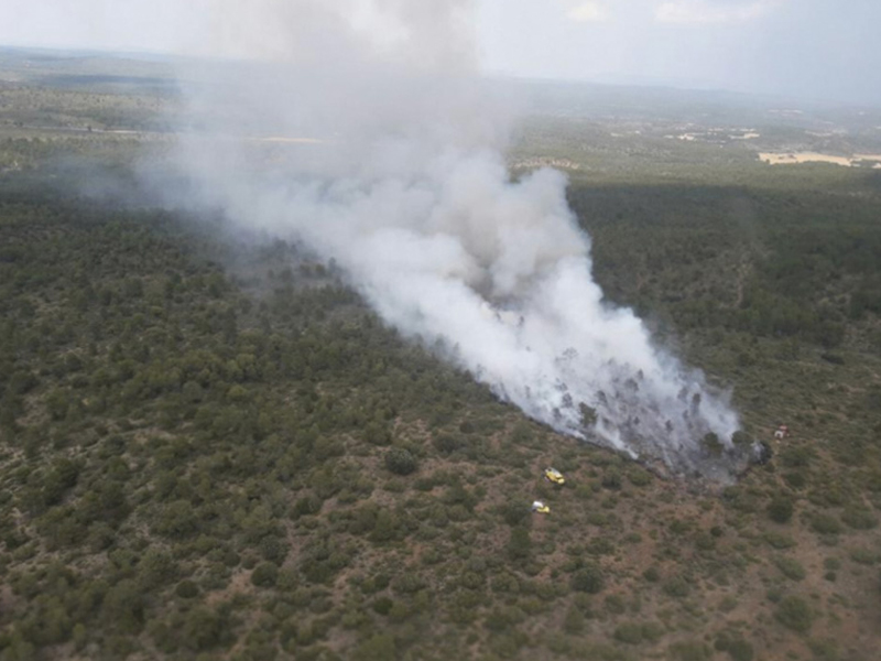 Declarado un incendio forestal en Almodóvar del Pinar - imagen 1