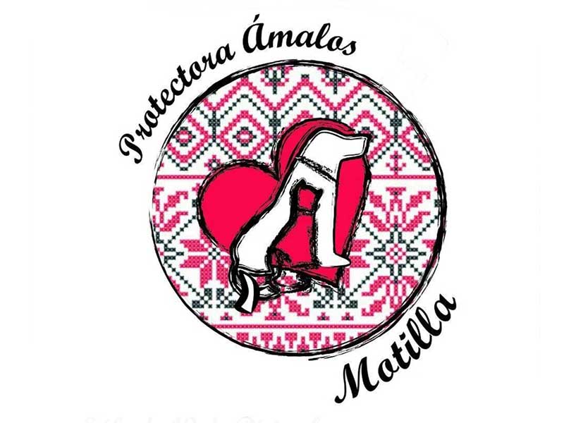 En marcha una campaña solidaria para colaborar con la protectora motillana Amalos - imagen 1