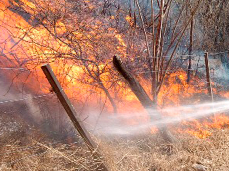 Paracuellos tendrá una nueva torre de vigilancia de incendios forestales - imagen 1