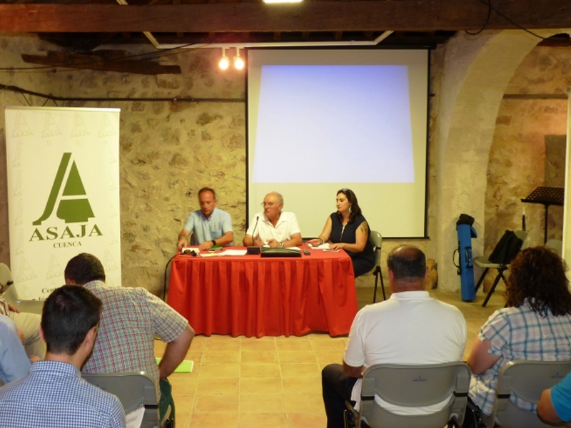 La sequía y el pedrisco dejarán un 30 por ciento menos de cosecha de uva en la provincia - imagen 1