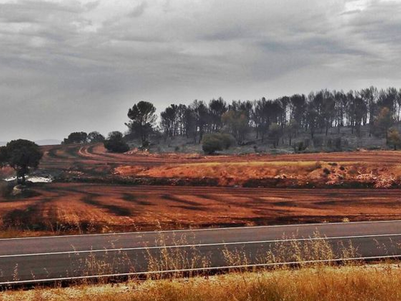 Arrasadas 1.200 hectáreas en el incendio de Campillo que ya está estabilizado - imagen 1