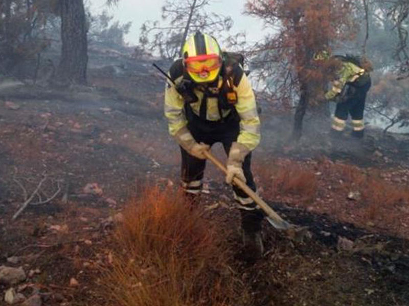 Once medios y 46 personas continúan trabajando en la extinción del fuego de Yeste - imagen 1