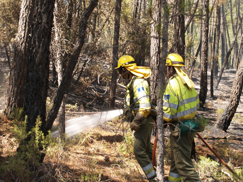 El incendio de Cañamares se encuentra ya estabilizado y baja a Nivel I - imagen 1