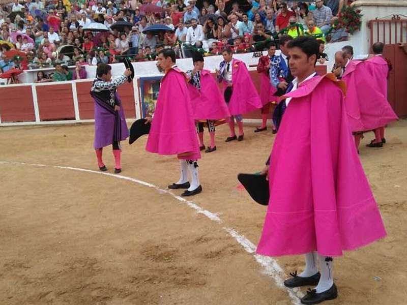 Toros iniesta