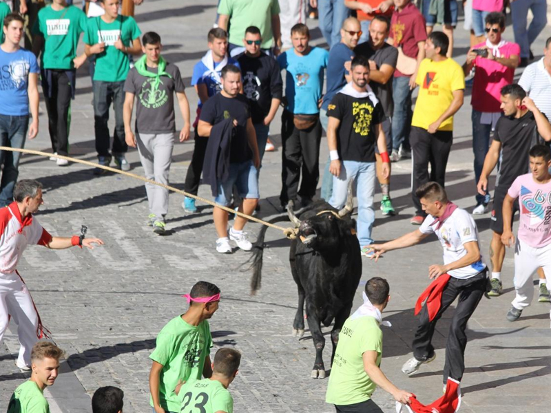 Agentes de la Guardia Civil y de la Policía Nacional de Albacete colaborarán en la seguridad de San Mateo - imagen 1
