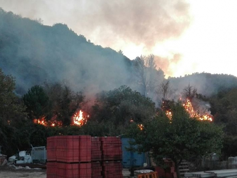 La rápida actuación de los vecinos, GEACAM y bomberos extingue un conato de incendio en Enguidanos - imagen 1
