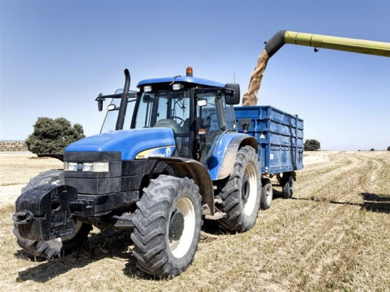 Cuenca tiene la peor cosecha de cereal de toda Castilla-La Mancha - imagen 1