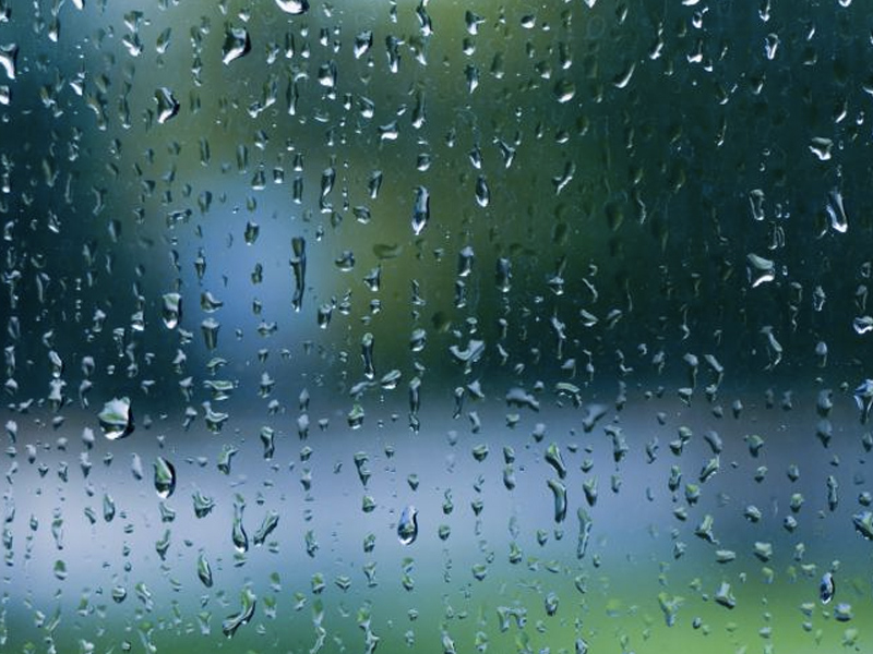 Las lluvias han dejado más agua en La Mancha y en la Manchuela que en la Serranía - imagen 1