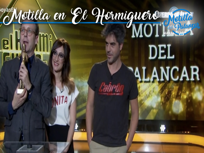 Motilla hormiguero