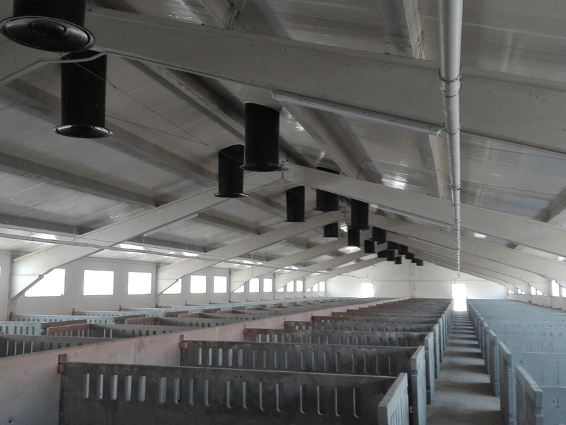 Cuadrado alega que la macrogranja de Huerta de Obispalía la autorizó Cospedal y era para 35.000 cerdos - imagen 1