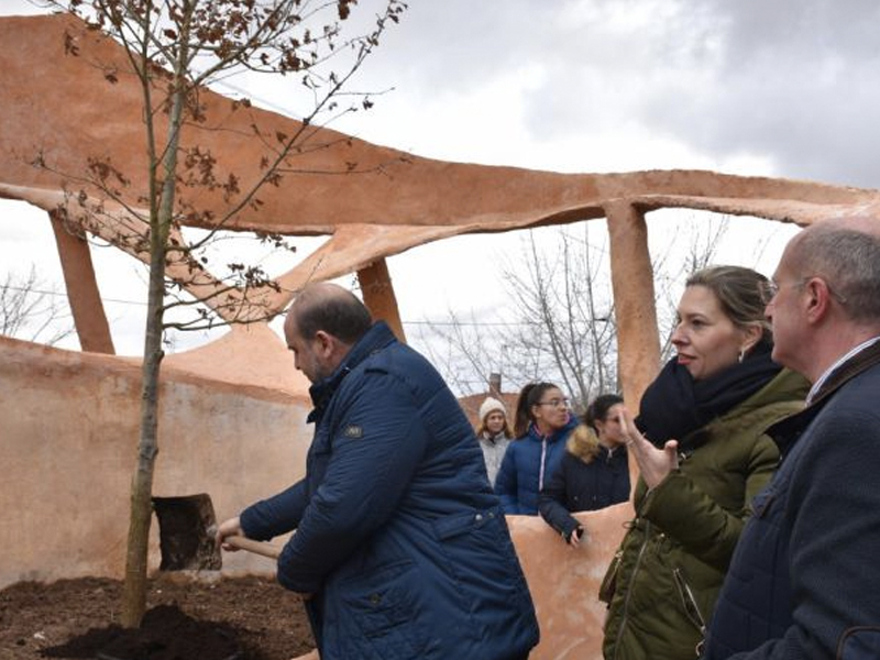 Olmeda de la Cuesta ya tiene un retoño del simbólico árbol de Guernica - imagen 1