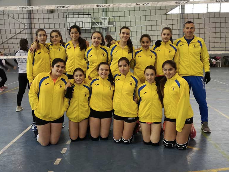 Voley motilla