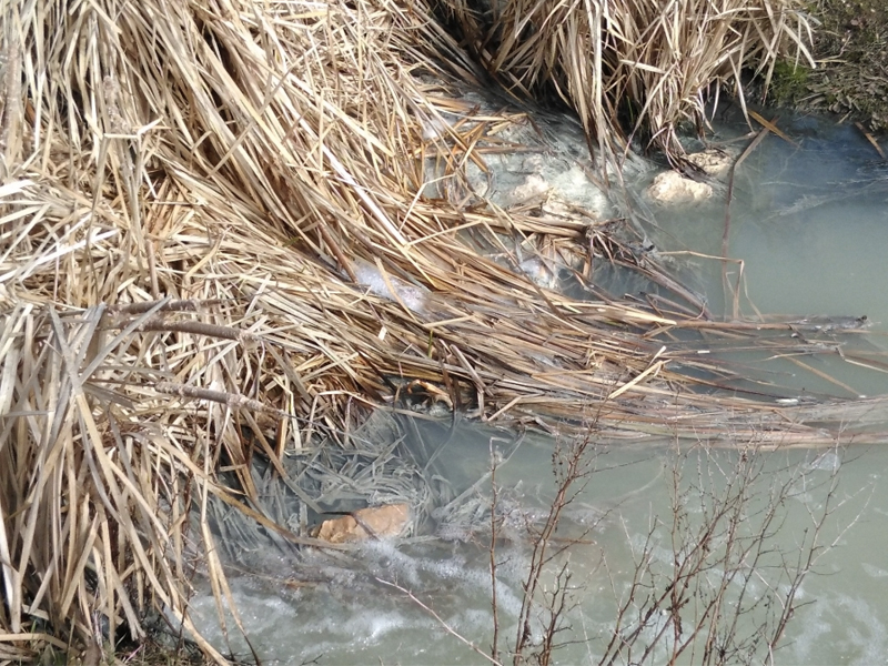 La asociación ecologista de la Manchuela denuncia la nefasta situación en la que se encuentra el Valdemembra - imagen 1