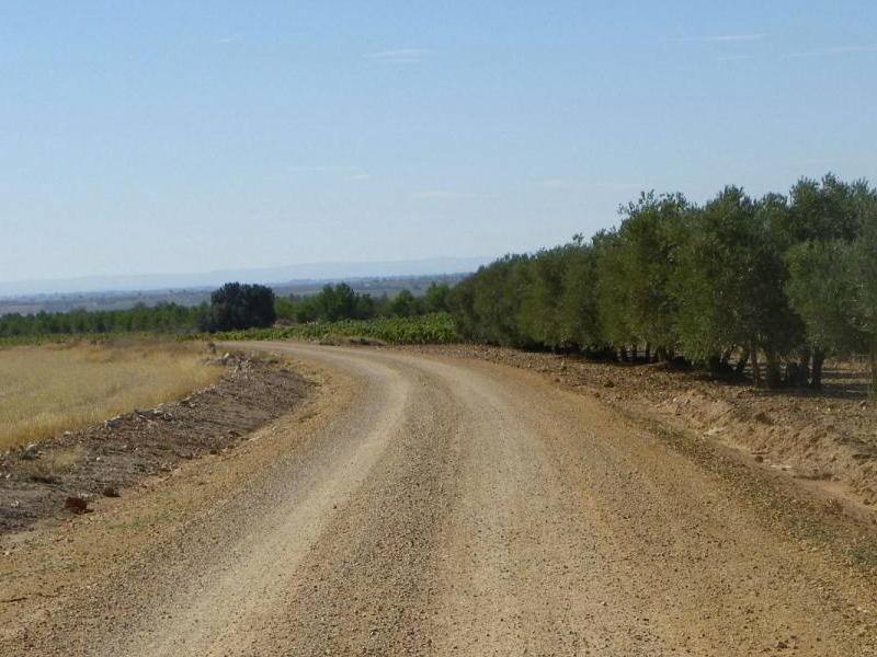 Aprobada la convocatoria de ayudas para mejorar los caminos rurales de la región - imagen 1