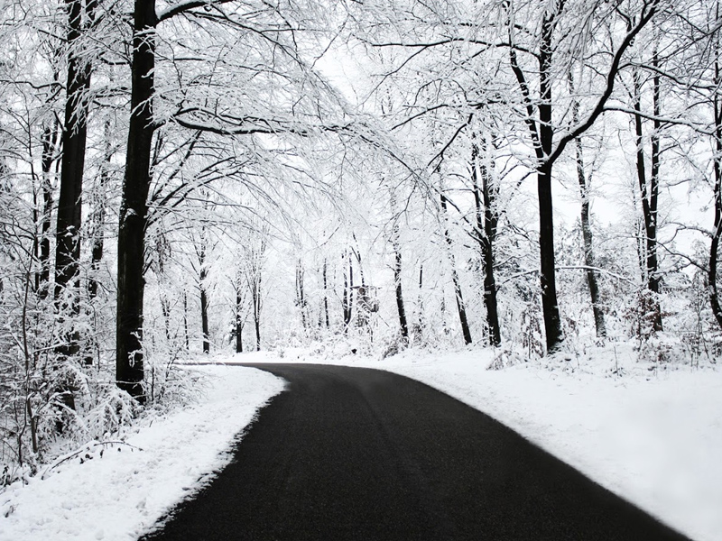 Aislados una decena de municipios de la Sierra Alta conquense por el temporal - imagen 1