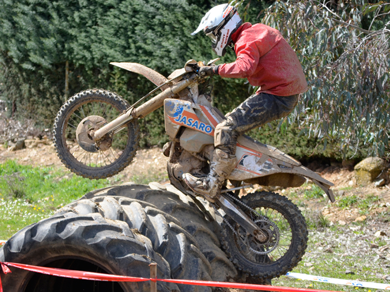Daniel algarra b