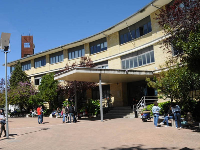 La Facultad de Ciencias Sociales imparte por primera vez un Máster en Dirección de Empresas Turísticas - imagen 1