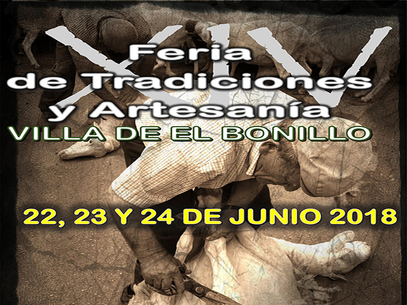 Feria tradiciones bonillo