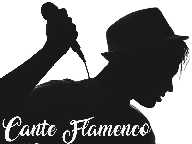 Concierto Flamenco de María Rodriguez | Albacete - imagen 1