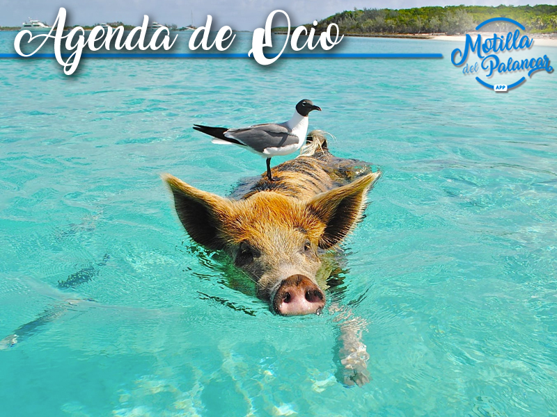 Agenda fin de semana  | 29, 30 de Junio y 1 de Julio - imagen 1