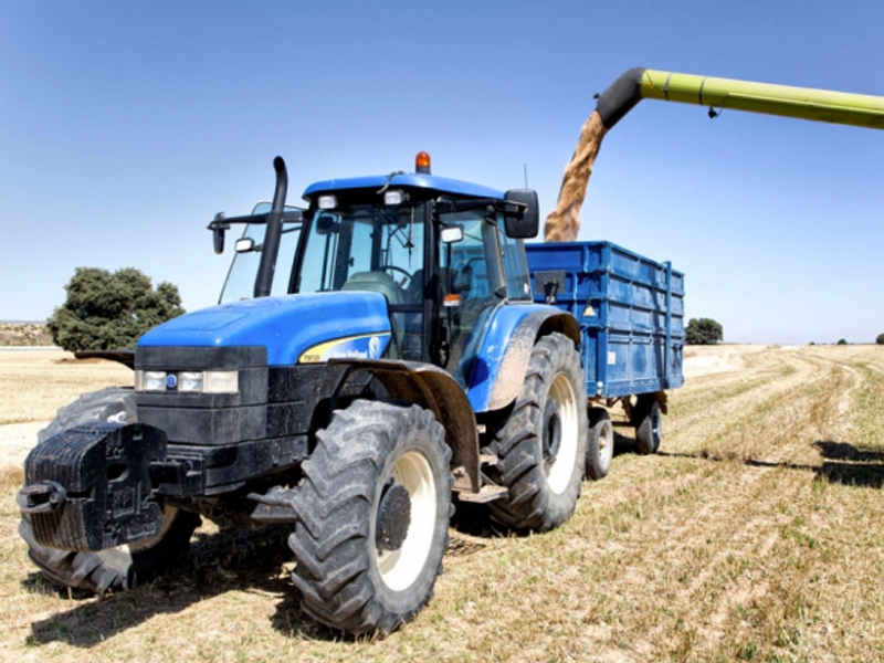 La irregularidad de rendimientos y retraso en la siega marcan la campaña de cereal - imagen 1