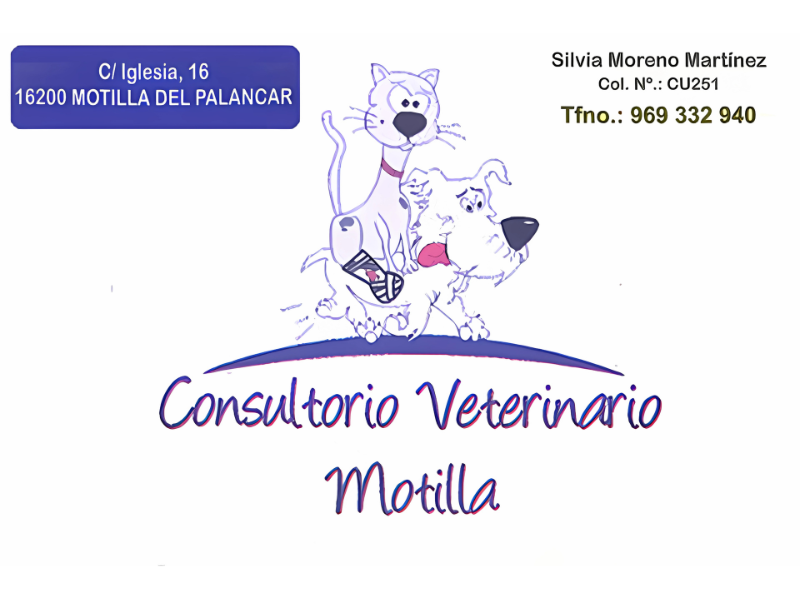 Veterinaria motilla