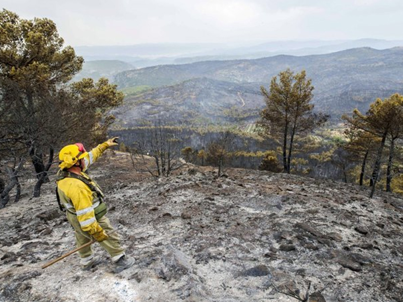 Los incendios forestales se han reducido en la región en un 40% en lo que va de verano - imagen 1