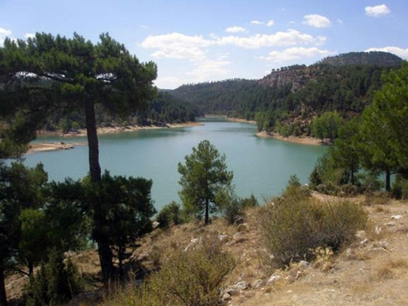 Una bacteria obliga a suspender actividades en el embalse conquense de la Toba - imagen 1