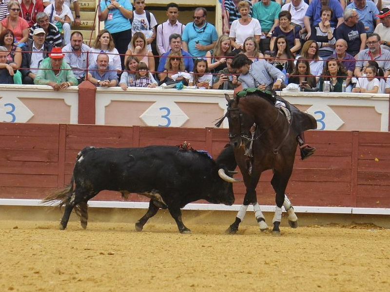 Puerta grande para el rejoneador Diego Ventura en la despedida de los festejos taurinos de San Julián - imagen 1