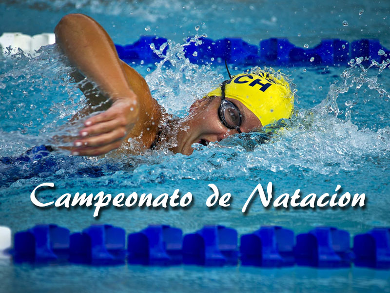 Campeonato de Natación - imagen 1