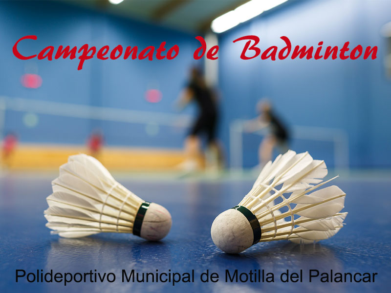 XIII Campeonato de Badminton - imagen 1