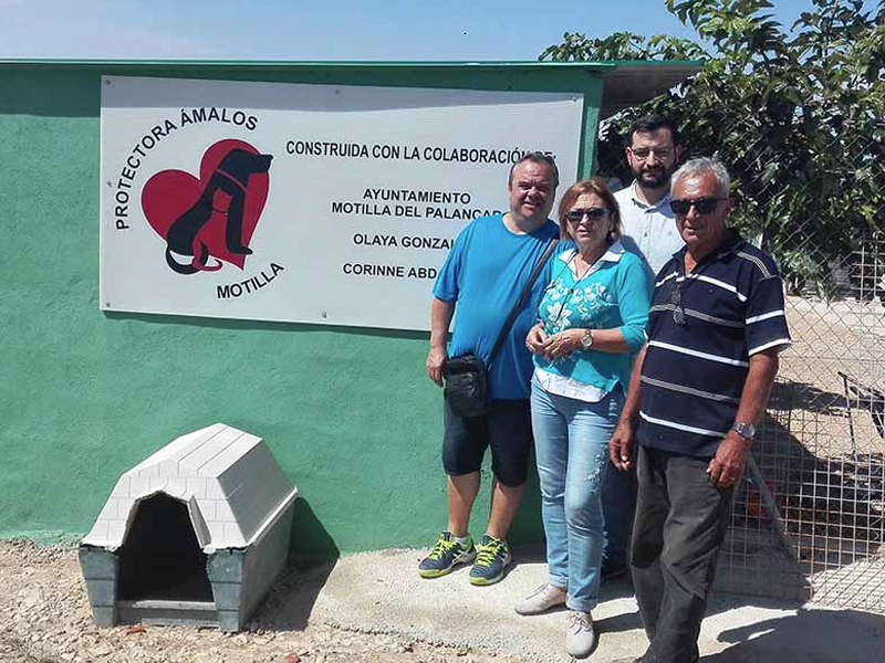 IU de Motilla del Palancar dona 300 euros a la Protectora de Animales Ámalos - imagen 1