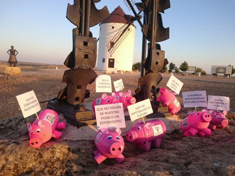 1990 lechones de plástico contra las macrogranjas en Mota del Cuervo - imagen 1