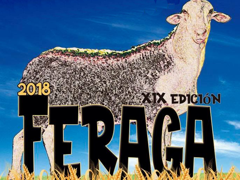 Foto feraga
