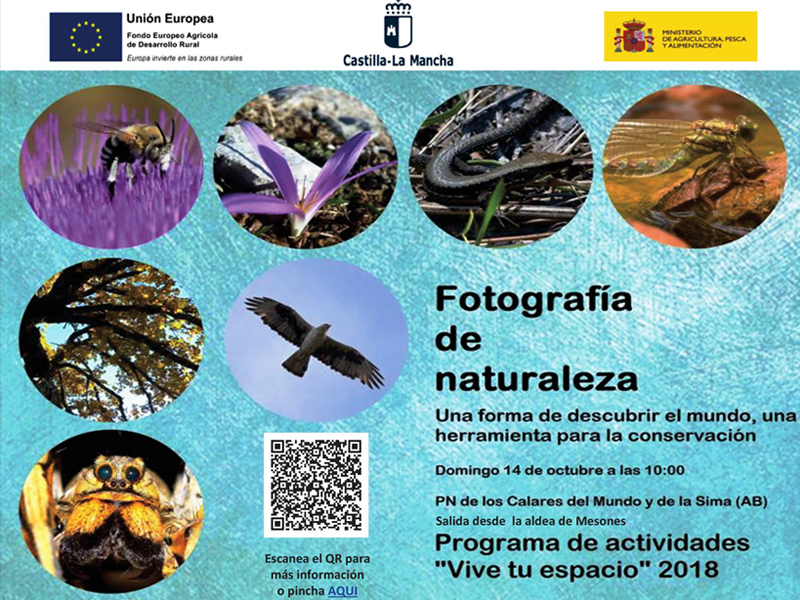 Taller de Fotografía - imagen 1