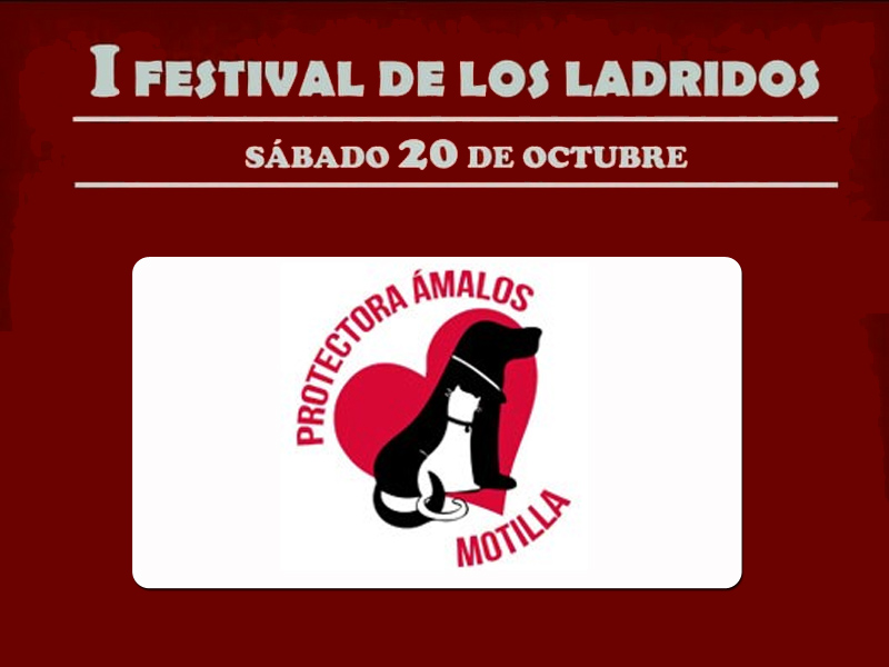 Protectora a%cc%81malos app