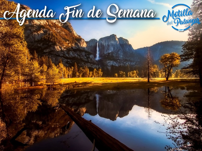 Agenda find app