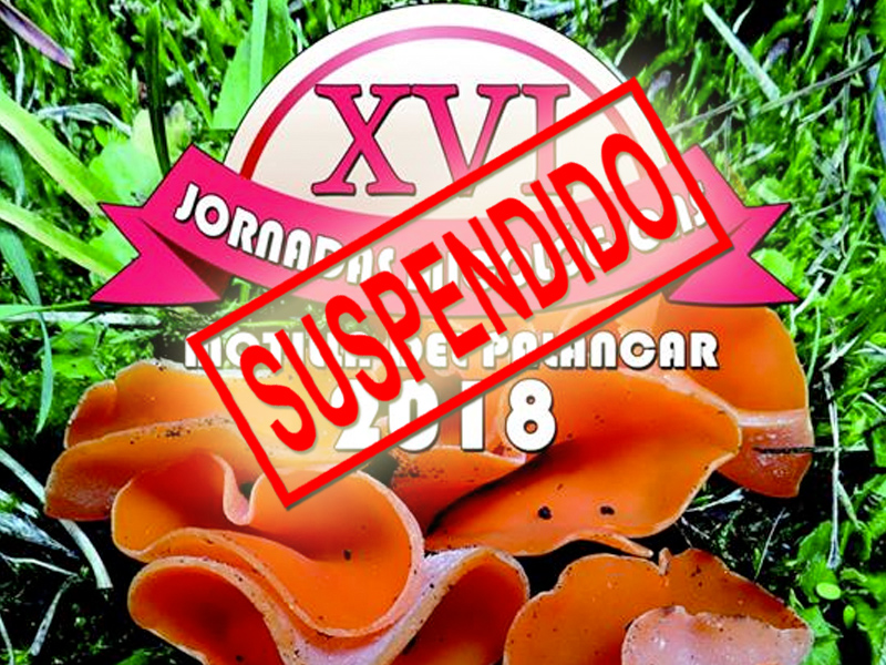 XVI Jornadas Micológicas | Motilla del Palancar - imagen 1