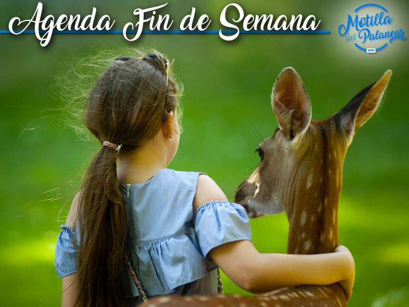 Agenda fin de semana 26, 27 y 28 de Octubre - imagen 1