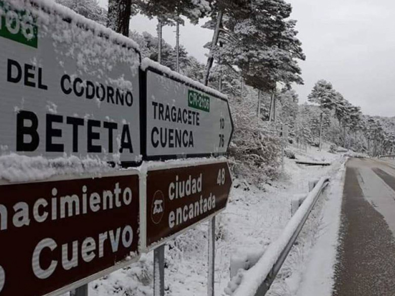 Nieves