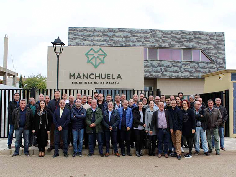 La Denominación de Origen Manchuela estrena nueva marca - imagen 1