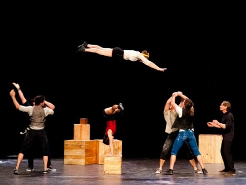 Circo albacete