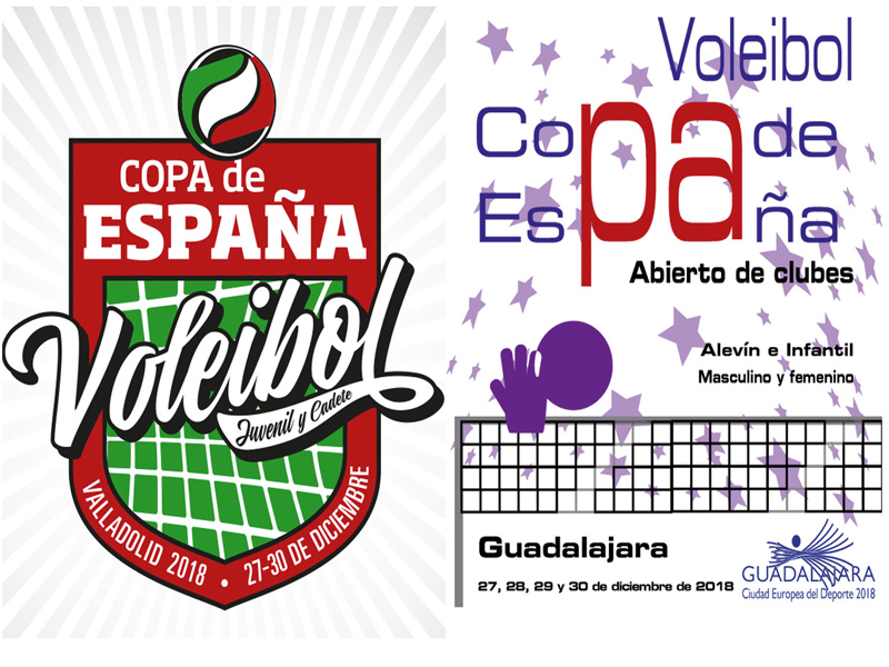 Copa espan%cc%83a voleibol