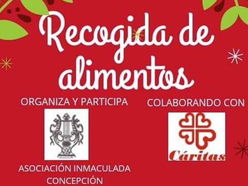 Recogida de Alimentos | Motilla del Palancar - imagen 1