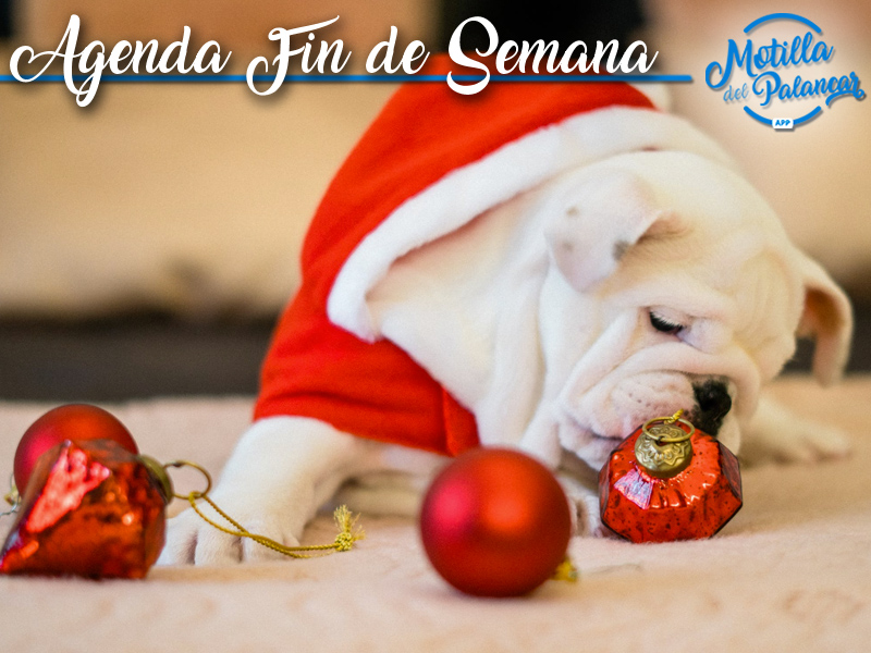 Agenda Fin De Semana | 21, 22 y 23 de Diciembre - imagen 1