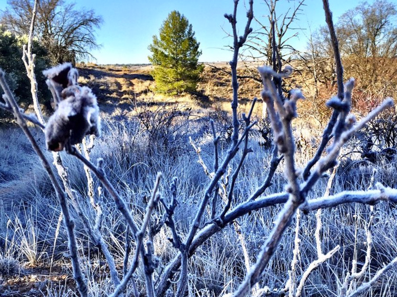 Heladas y alerta amarilla por bajas temperaturas en la Serranía durante la jornada del martes - imagen 1