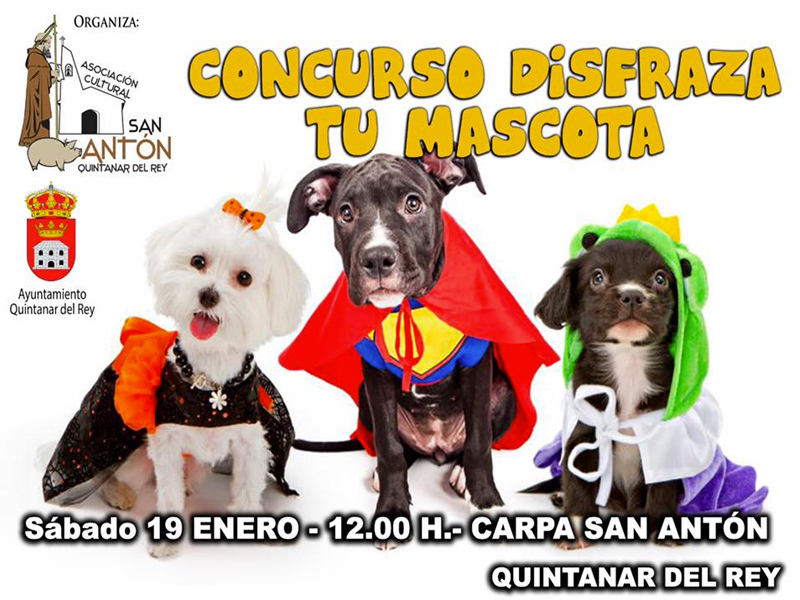 Concurso | Disfraza a tu mascota - imagen 1